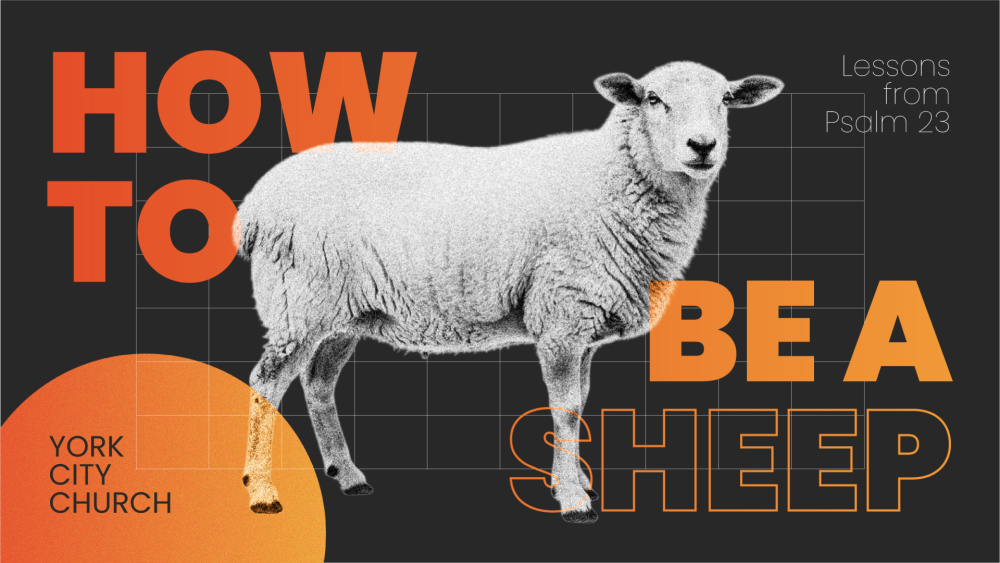 How to Be a Sheep (Psalm 23) Image
